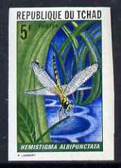 Chad 1972 Insects 5f (Hemistigma albipunctata) imperf from limited printing unmounted mint as SG 362*