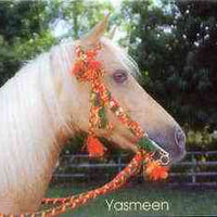 Telephone Card -Oman 3r phone card showing Horse (Yasmeen)