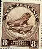 New Zealand 1942 def 8d Lizard perf 14 x 14.5 (wmk sideways) unmounted mint SG 586d*