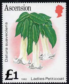 Ascension 1981-82 Flowers £1 Ladies Petticoat def (SG 295B with imprint date) in fine unmounted mint single with wmk inverted