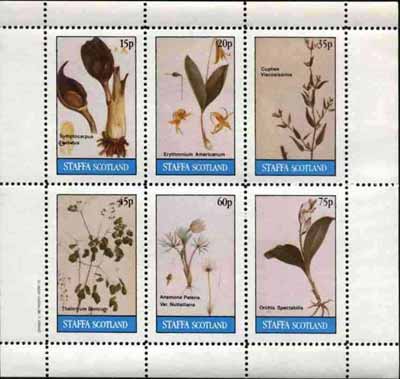 Staffa 1982 Flowers #21 (Cigar Flower, Orchid, Anemone, etc) perf set of 6 values (15p to 75p) unmounted mint