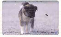 Telephone Card - Japan 105 units phone card showing Puppy watching a Bee (card number 410-396)