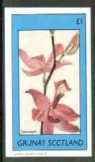 Grunay 1982 Flowers #09 (Calopogon) imperf souvenir sheet (£1 value) unmounted mint