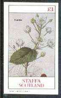 Staffa 1982 Plants #03 (Bramble) imperf,souvenir sheet (£1 value) unmounted mint