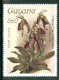 Guyana 1985-89 Orchids Series 2 plate 01 (Sanders' Reichenbachia) 560c unmounted mint, SG 2178*