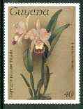 Guyana 1985-89 Orchids Series 1 plate 91 (Sanders' Reichenbachia) 40c unmounted mint, SG 1822*