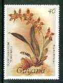 Guyana 1985-89 Orchids Series 1 plate 86 (Sanders' Reichenbachia) 40c unmounted mint, SG 1868*