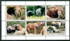 Dagestan Republic 1999 Elephants sheetlet containing complete set of 6 values unmounted mint