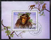 Fujeira 1972 5Rs mini sheet featuring chimpanzee fine cto used Mi BL 206A