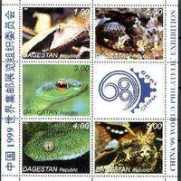 Dagestan Republic 1999 Reptiles sheetlet containing 5 values plus label for China 99 Stamp Exhibition unmounted mint