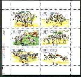 Ingushetia Republic 1999 Zebras perf sheetlet containing complete set of 6 values unmounted mint