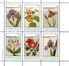 Staffa 1982 Flowers #47 (Cattleya, Mimulus, Azalea etc) perf set of 6 values unmounted mint