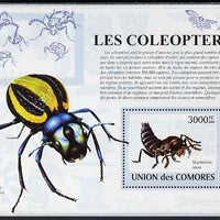 Comoro Islands 2009 Insects perf s/sheet unmounted mint