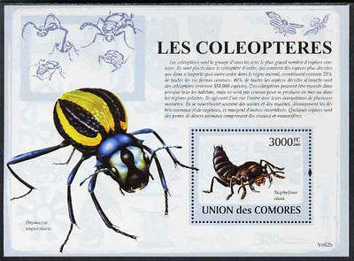 Comoro Islands 2009 Insects perf s/sheet unmounted mint