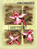 Cambodia 1997 Orchids m/sheet unmounted mint SG MS 1717