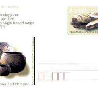 Poland 1999 Archaeological Explorations 60gr post card in pristine unused condition