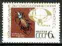 Russia 1968 Entomological Congress 6k Ground Beetle (from,International Congresses set) unmounted mint, SG 3556*