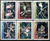 Congo 1999 Orchids complete set of 6 values fine cto used*