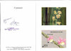 Bhutan 1990 Orchids - Vandopsis parishi & Dendrobium aphyllum imperf m/sheets mounted in Folder entitled 'Your Proofs from the House of Questa', signed and approved by Director PTT, exceptionally rare ex Government archives (Sc 883 & 884)