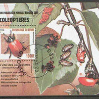 Benin 2000 Insects (Bangkok 2000 Stamp Exhibition) perf m/sheet fine cto used