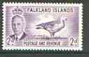 Falkland Islands 1952 Upland Goose 2d violet unmounted mint, SG 174*