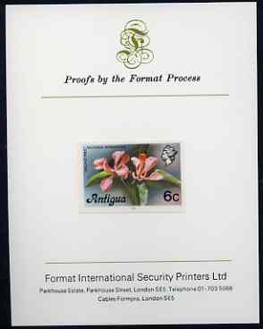 Antigua 1976 Orchid Tree 6c (with imprint) imperf proof mounted on Format International proof card (as SG 475B)