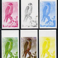 Staffa 1977 Birds of Prey #01 Hobby 2.5p set of 6 imperf progressive colour proofs comprising the 4 individual colours plus 2 and all 4-colour composites unmounted mint