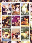 Tatarstan Republic 2000 Dogs (Chihuahua) perf sheetlet containing complete set of 9 values, each with Scout logo unmounted mint