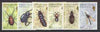 Falkland Islands Dependencies 1982 Insects set of 6 unmounted mint, SG 102-7*