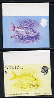 Belize 1984-88 Snapper fish $1 def imperf progressive marginal proofs in red & blue and yellow & black, 2 proofs unmounted mint as SG 778