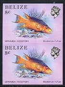 Belize 1984-88 Hogfish 5c def in unmounted mint imperf pair (SG 770)