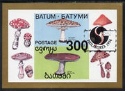 Batum 1994 Fungi imperf s/sheet with 'Philakorea' opt unmounted mint