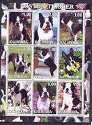 Kalmikia Republic 2001 Dogs (Boston Terrier) perf sheetlet containing complete set of 9 values, each with Scout logo unmounted mint