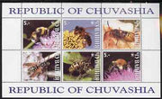 Chuvashia Republic 1999 WWF - Wasps & Bees perf sheetlet containing set of 6 values complete unmounted mint