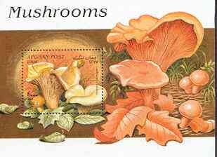 Afghanistan 1998 Fungi perf m/sheet unmounted mint