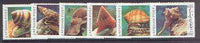 Afghanistan 1999 Molluscs complete set of 6 unmounted mint