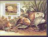 Afghanistan 1999 Molluscs m/sheet unmounted mint