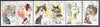 Afghanistan 1996 Domestic Cats complete set of 6 fine cto used*