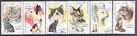 Afghanistan 1996 Domestic Cats complete set of 6 fine cto used*