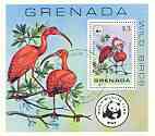 Grenada 1978 WWF - Birds (Ibis) perf m/sheet fine cto used, SG MS 929