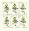 St Kilda 1970 Flowers 1s9d Yellow Rattle with 'European Conservation Year' opt complete imperf sheetlet of 6 with smudging of grey unmounted mint