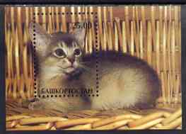 Bashkortostan 2001 Domestic Cats perf m/sheet unmounted mint (Cat on Wicker Chair)