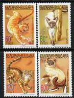 Bulgaria 1998 Domestic Cats set of 4 unmounted mint, SG 4192-95