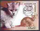 Cambodia 2001 Domestic Cats perf m/sheet fine cto used SG MS2169