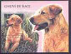 Benin 2000 Dogs perf m/sheet unmounted mint