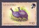 Lesotho 1988 Birds 10m Helmet Guineafowl unmounted mint, SG 805*