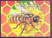 Congo 1994 Insects perf m/sheet (Bee) unmounted mint