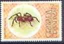 Grenada - Grenadines 1976 Eurypelma Spider 2c (from Flora & Fauna set) unmounted mint SG 149