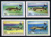 Rumania 1994 WWF - Sturgeons perf set of 4 unmounted mint, SG 5660-63