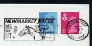 Postmark - Great Britain 1973 cover bearing illustrated slogan cancellation for Newmarket Races